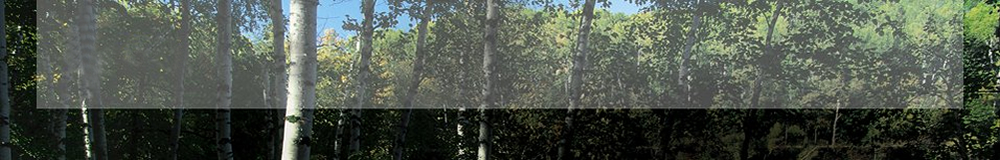 FSC,ջľҵ,http://www.suhuiwood.com