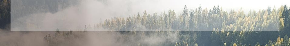 FSC,ջľҵ,http://www.suhuiwood.com