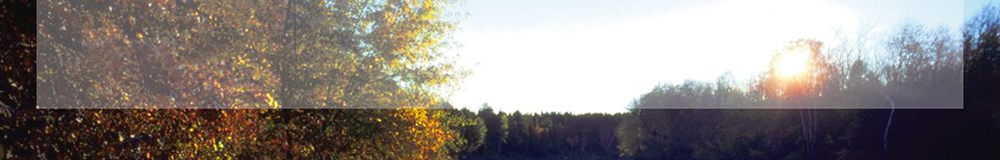 FSC,ջľҵ,http://www.suhuiwood.com